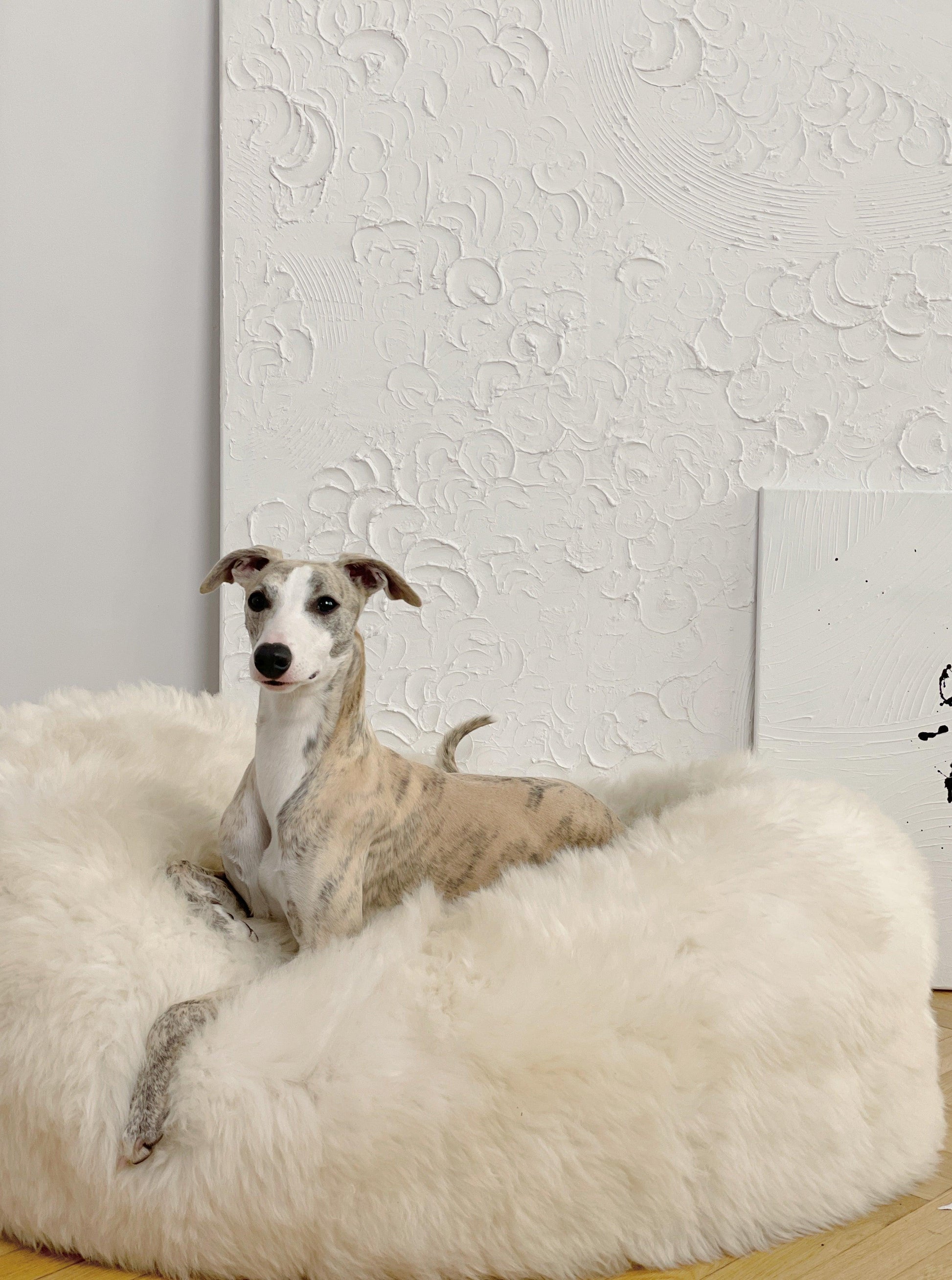 Oval Natural Sheepskin Pet Bed - White-1