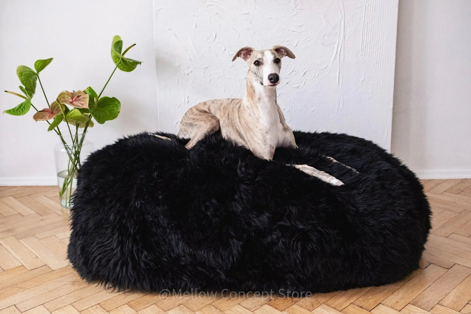Oval Natural Sheepskin Pet Bed - Black-0