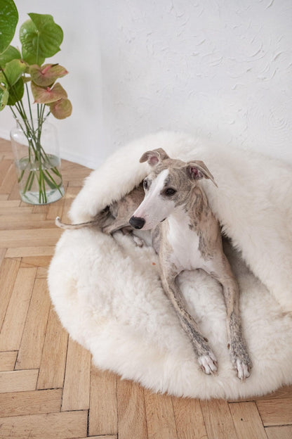 Natural Sheepskin Pet Cave - White-1